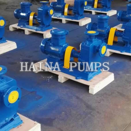 Explosion-proof oil pump for gasoline kerosene diesel – CHINA HAINA PUMPS